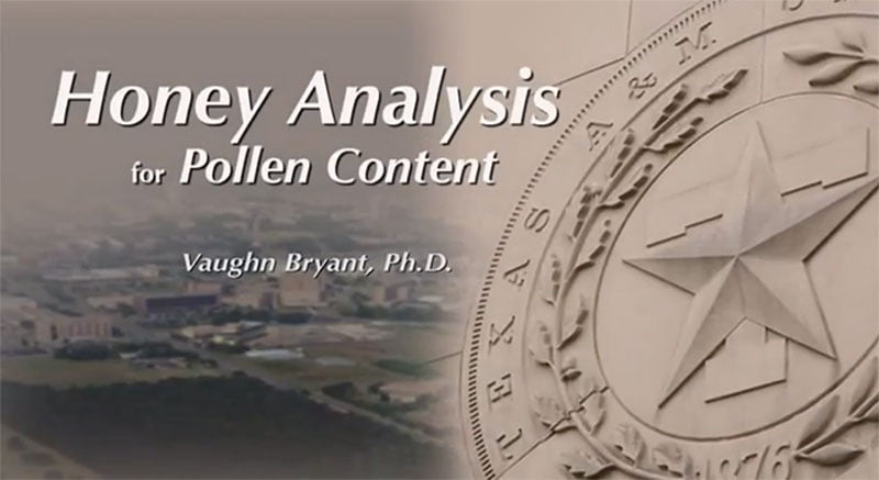 Watch a honey sample being prepared for pollen analysis!