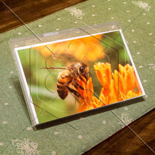 Honeybee Notecards (Box of 8) - Image 2