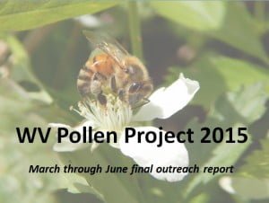 Pollen Report Cover Image