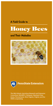Lesson 6.1 Honey Bee Predators - Honey Glen