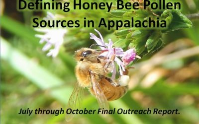 Defining Honey Bee Pollen Sources in Appalachia, July Through October