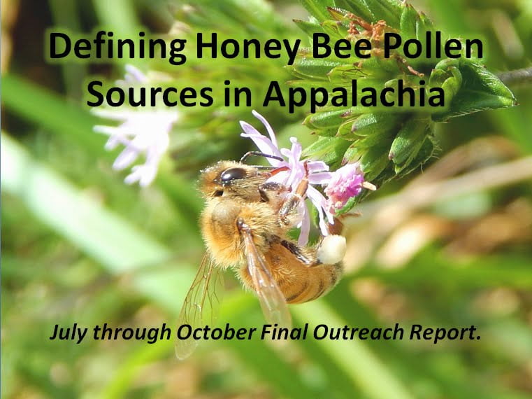 Defining Honey Bee Pollen Sources in Appalachia, July Through October