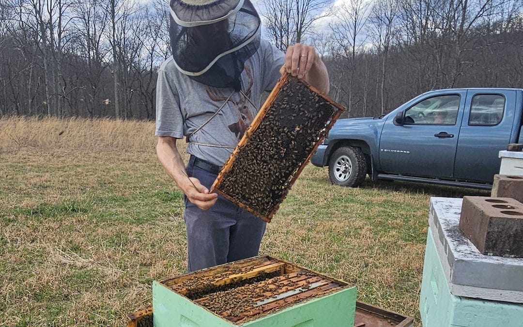 Customers find Honey Glen bees gentle, so does state inspector.