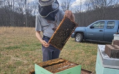 Customers find Honey Glen bees gentle, so does state inspector.